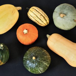 Squash Varieties